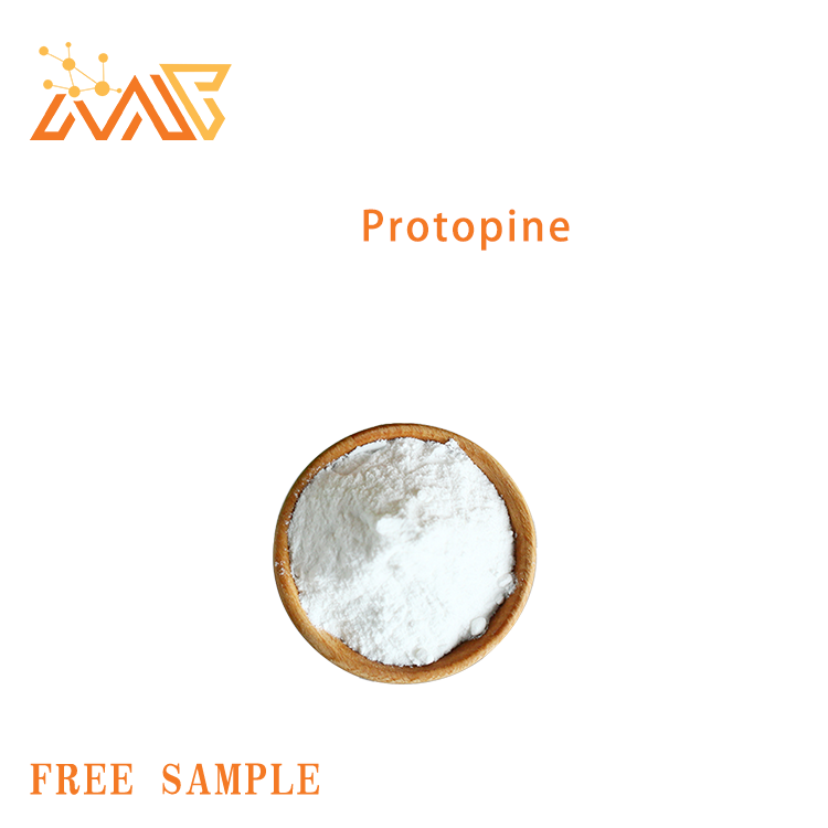 Protopine