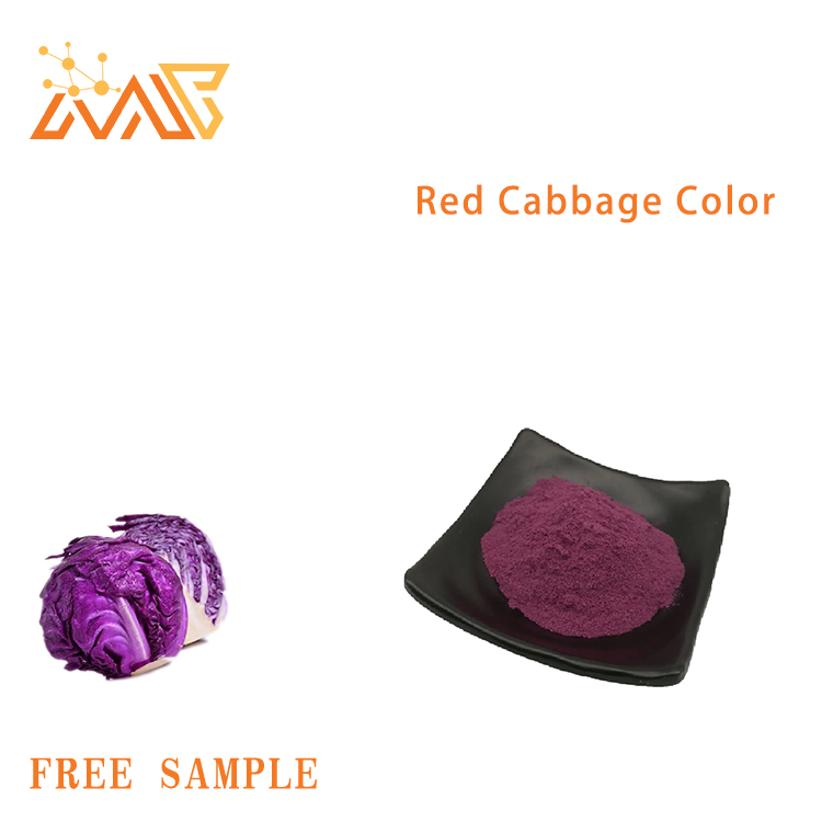 Red Cabbage Color